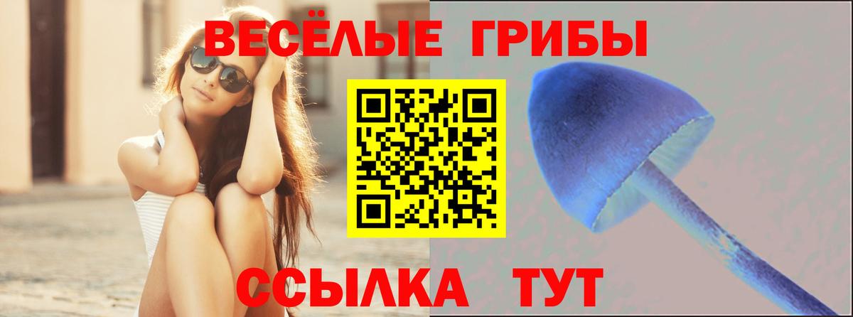 Псилоцибиновые грибы прущие грибы  Вход с VPN  Псилоцибиновые грибы GOLDEN TEACHER  Ступино 